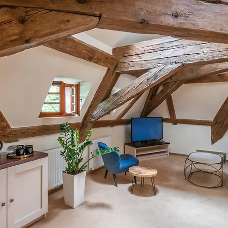 ゲストハウス Castle & Wellness Poděbrady